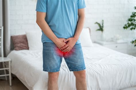 Diagram človeškega reproduktivnega sistema s poudarkom na penisu in sečnici