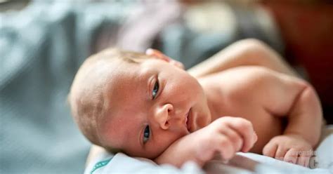 Novorojenček, ki ga mati doji v naročju