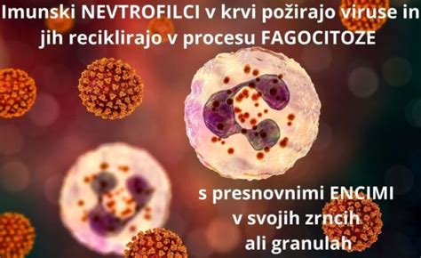 Ilustracija virusov in bakterij