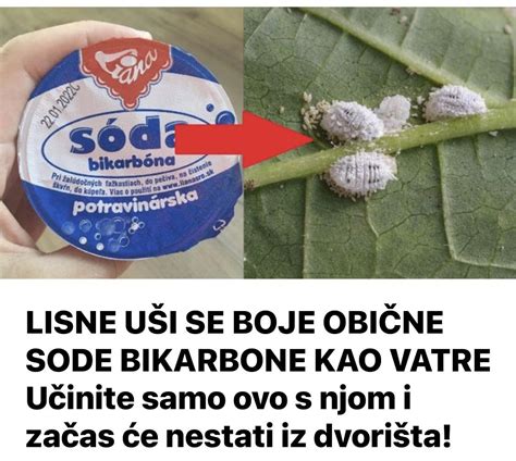 Diagram kislinsko-bazične reakcije sode bikarbone