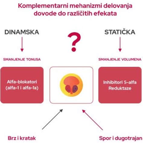 Diagram delovanja imunokromatografskega testa nosečnosti