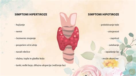 diagram delovanja ščitnice