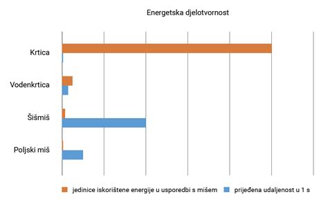 graf EEG možganske aktivnosti