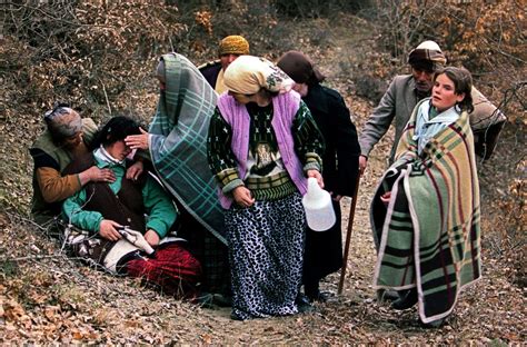 Nosečnica v skupini