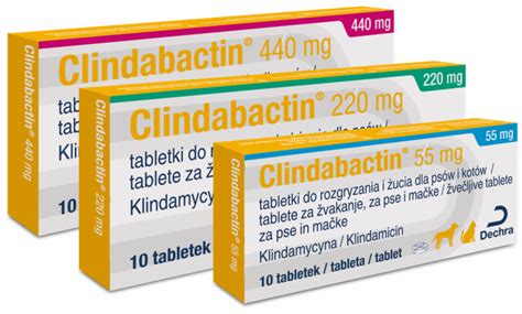 različni antibiotiki v obliki tablet