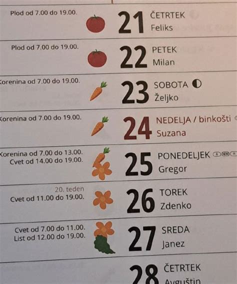 Ilustracija nosečniškega koledarja
