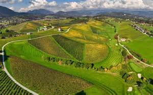 Ženska s skrbno negovanimi dojkami