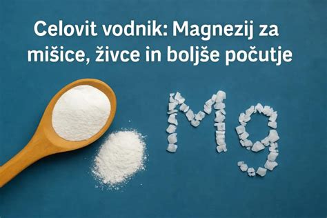 Diagram prikazuje, kako magnezij deluje na mišice.