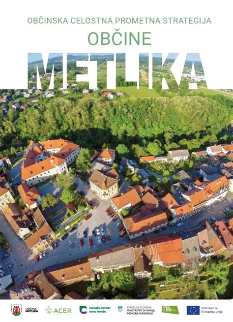 Nosečnica z materinsko knjižico