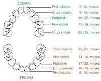 Doječek s prvimi zobki
