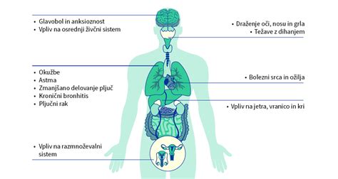 Diagram, ki prikazuje različne vrste kil v človeškem telesu