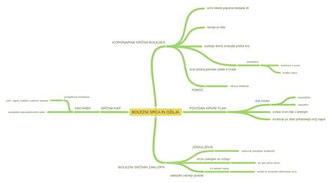 Diagram človeškega ožilja