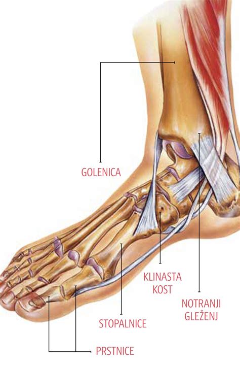 otroško stopalo na milimetrskem papirju