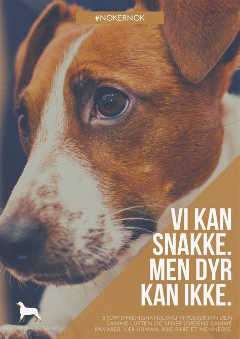 Plakat volilne kampanje SDS