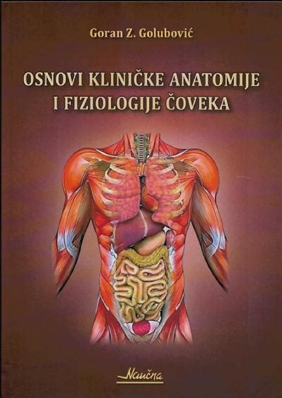Ilustracija anatomije človeške pazduhe z označenimi žlezami in kožnimi gubami.