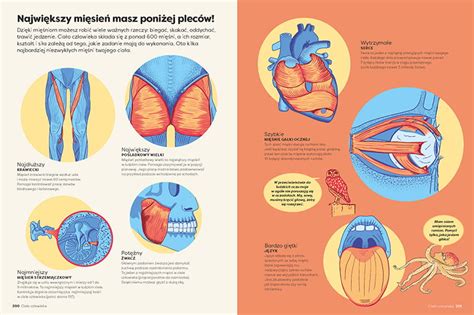 Infografika nosečniških pregledov