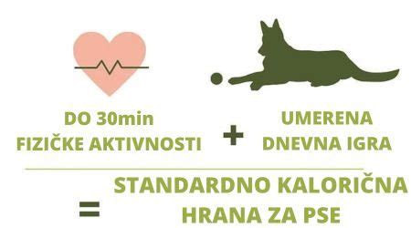 Diagram prikazuje priporočene dnevne količine hrane za pse glede na težo in starost