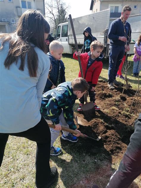Otroci pri sajenju rastlin v mobilni vrtiček