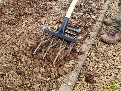 Ilustracija mačke in vrtne zemlje