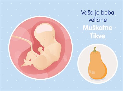 Ilustracija pravilnog položaja bebe pri dojenju