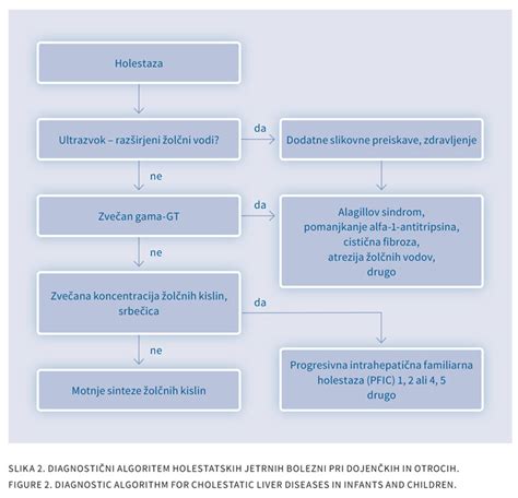 Diagram delovanja jeter in žolčnih kislin