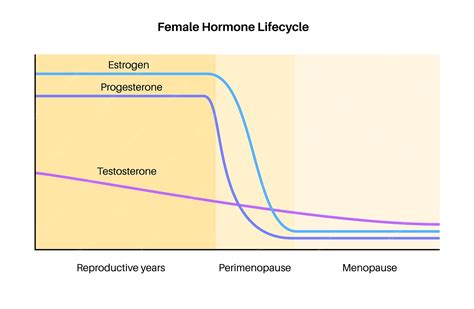 Diagram pasjega spolnega cikla s prikazanimi fazami in nivoji hormonov