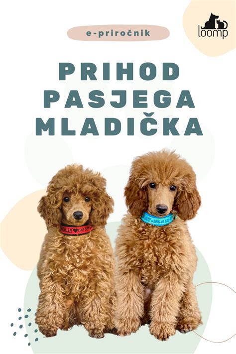 Ilustracija različnih konsistenc pasjega blata