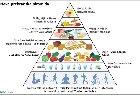ilustracija zdrave prehranske piramide za nosečnice