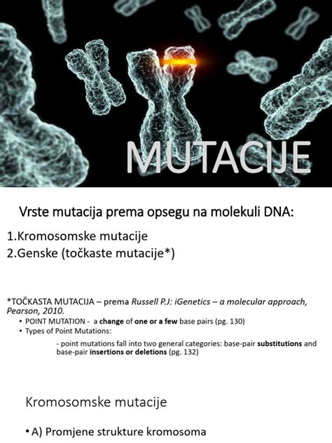 Diagram prikazuje kromosomske pare, s poudarkom na trisomiji 21