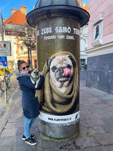 Obraz otroka s prikupnimi jamicami na licih