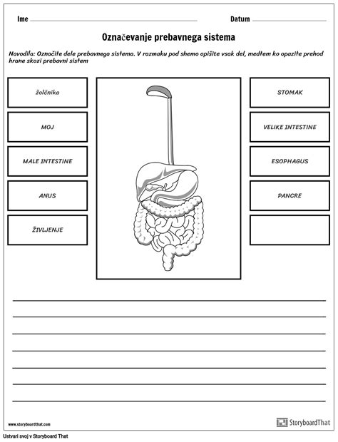 Diagram prebavnega sistema otroka z označenim refluksom