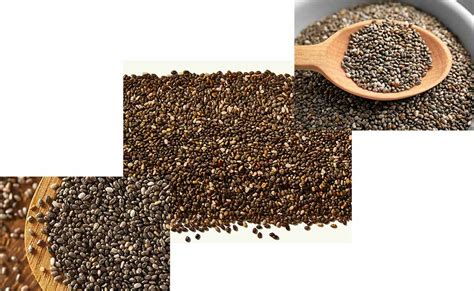 Infografika z različnimi načini uporabe chia semen v prehrani