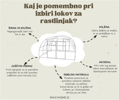 Infografika prikazuje sestavine, ki so koristne za zdravje lasišča