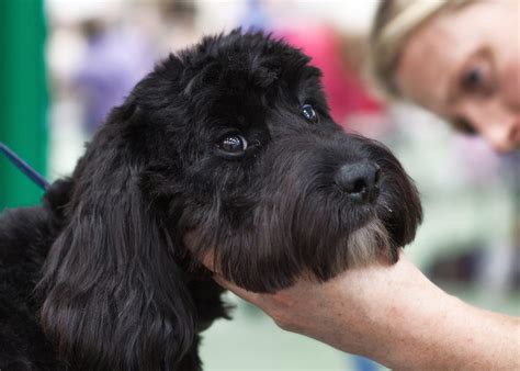 Dojenček z rdečo, razdraženo kožo na ličkih