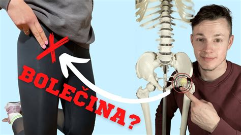 anatomija človeške dimlje