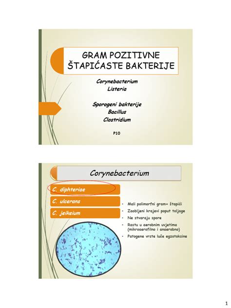 Simbolična upodobitev bakterije Listeria