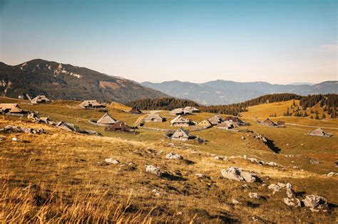 panoramski razgled na Veliko Planino s pašniki in pastirskimi kočami