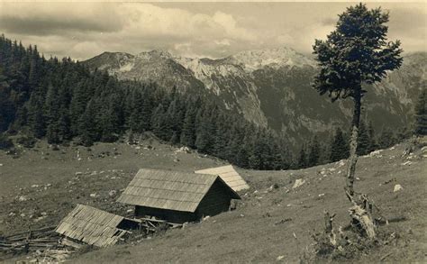 tradicionalne pastirske koče na Veliki Planini