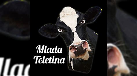 Mlada teletina