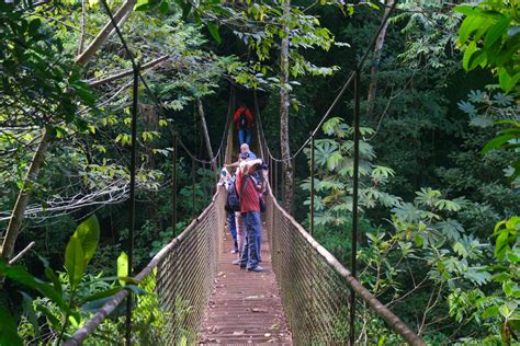 Viseči mostovi v Monteverdeju