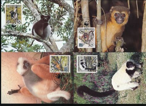 Kolaž živali Kostarike (lenivec, tukani, opice)