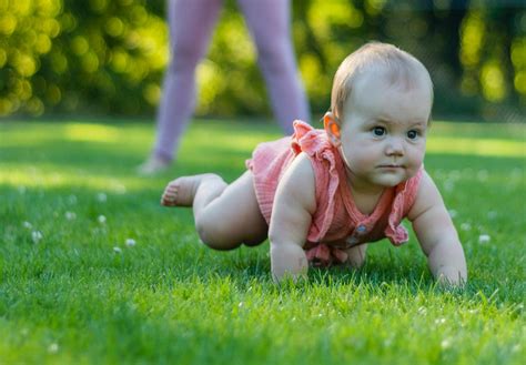 dojenček se plazi po vseh štirih