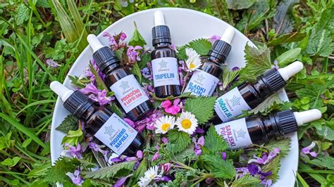 Ilustracija homeopatskih kapljic in stekleničk