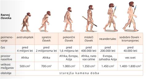 razvoj človeka risanka