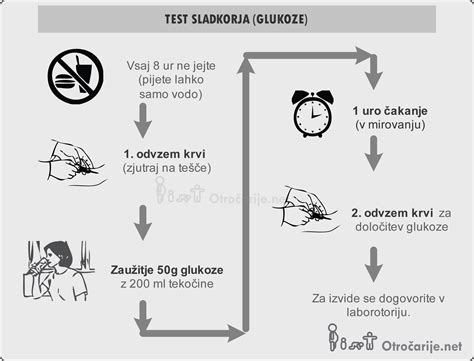 Diagram prehoda glukoze skozi posteljico