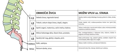 Slika ankilozirajočega spondilitisa, ki prikazuje vnetje hrbtenice in sklepov.