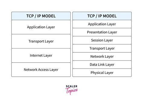 Diagram hormonske osi hipotalamus-hipofiza-gonade