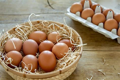 Struktura kokošjega jajca