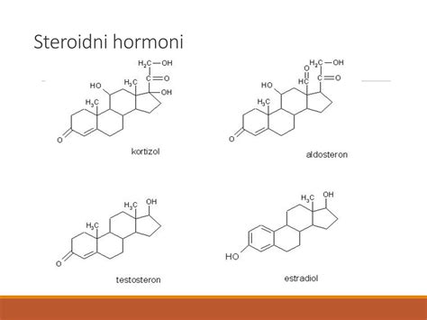 bioidentični hormoni struktura