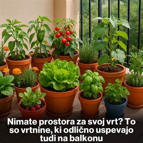 Raznolikost zelenjave in sadja na krožniku